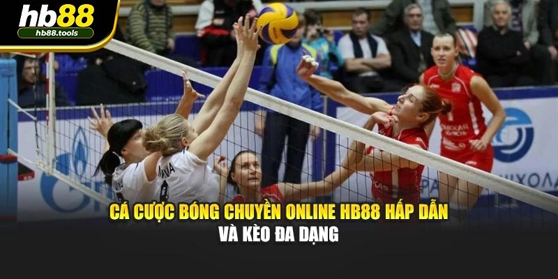 Cá Cược Bóng Chuyền Online Hb88 Hấp Dẫn Và Kèo Đa Dạng
