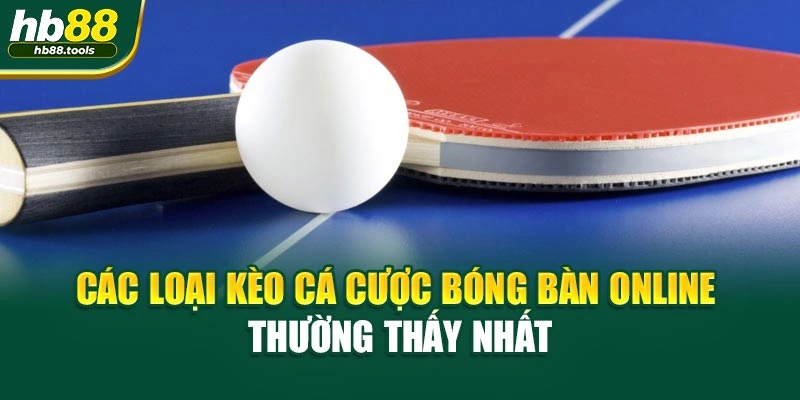 Các loại kèo cá cược bóng bàn online thường thấy nhất