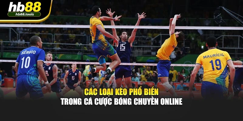 Các loại kèo phổ biến trong cá cược bóng chuyền online