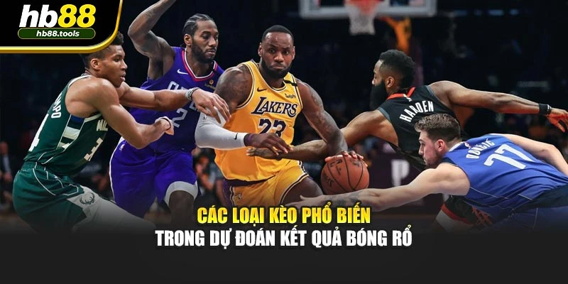 Các loại kèo phổ biến trong dự đoán kết quả bóng rổ