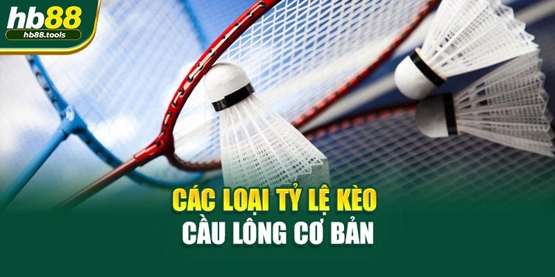 Các loại tỷ lệ kèo cầu lông cơ bản