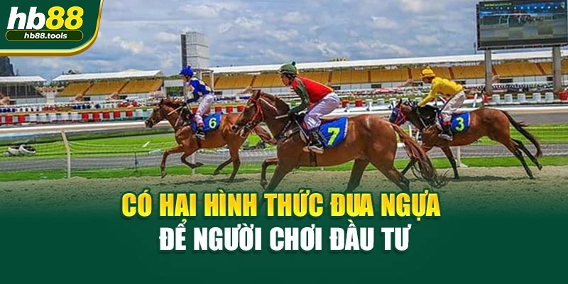 Có hai hình thức Đua Ngựa để người chơi đầu tư