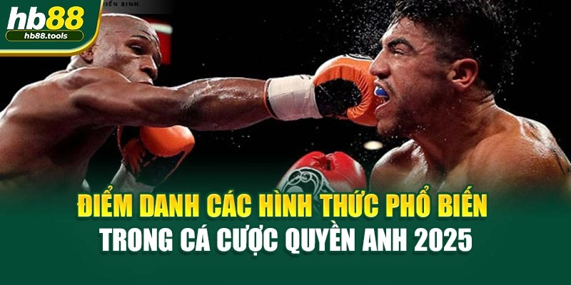 Điểm danh các hình thức phổ biến trong cá cược Quyền Anh 2025