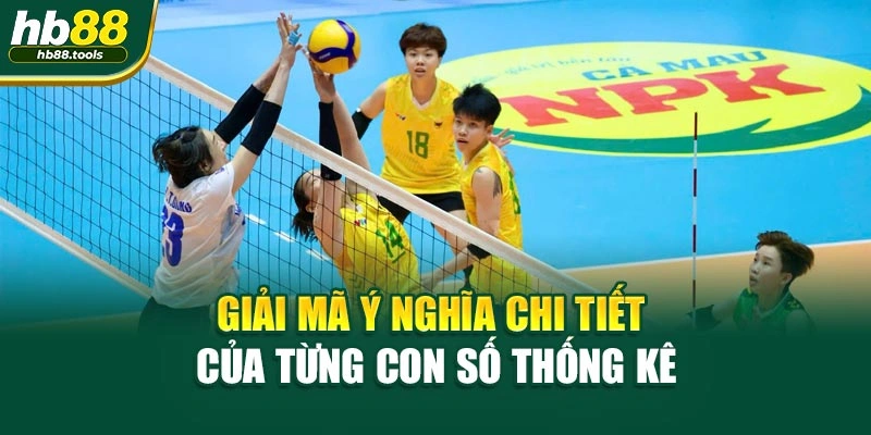Giải mã ý nghĩa chi tiết của từng con số thống kê