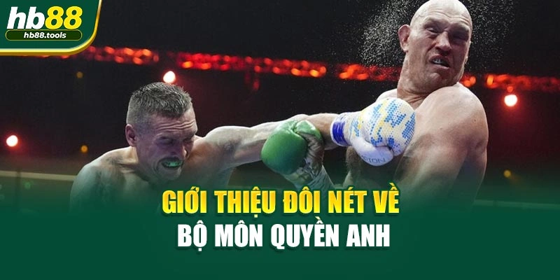 Giới thiệu đôi nét về bộ môn Quyền Anh