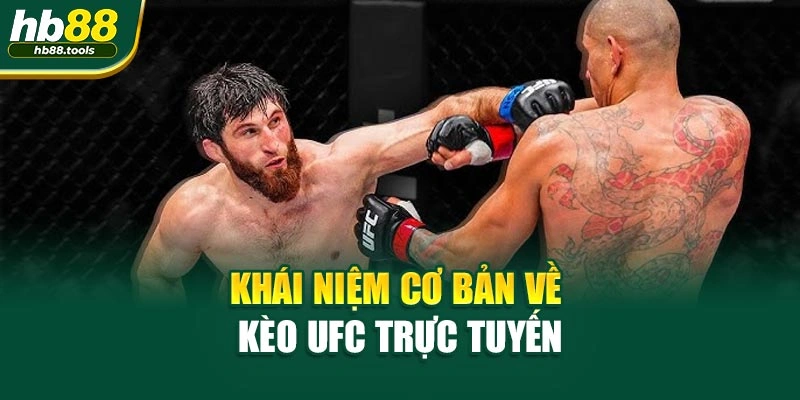 Khái niệm cơ bản về kèo UFC trực tuyến