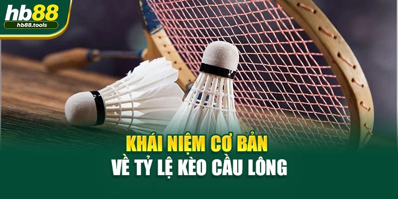 Khái niệm cơ bản về tỷ lệ kèo cầu lông