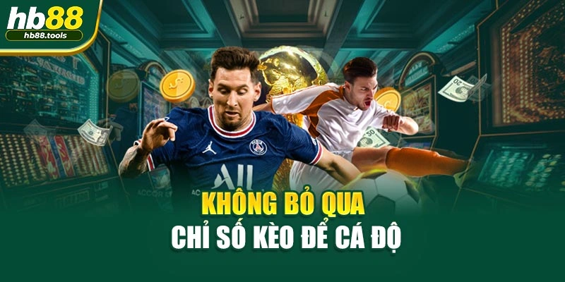 Không bỏ qua chỉ số kèo để cá độ