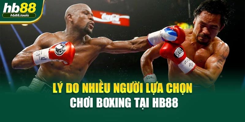 Lý do nhiều người lựa chọn chơi Boxing tại HB88
