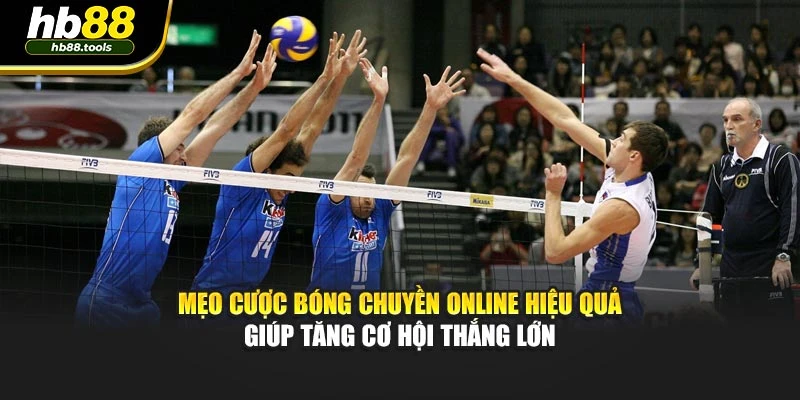 Mẹo cược bóng chuyền online hiệu quả giúp tăng cơ hội thắng lớn