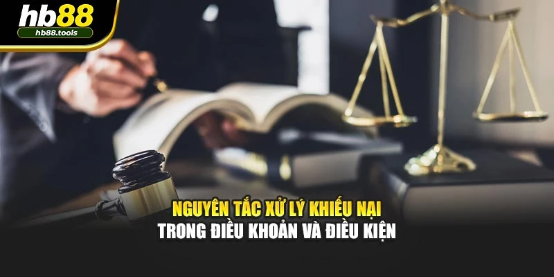 Nguyên tắc xử lý khiếu nại trong điều khoản và điều kiện