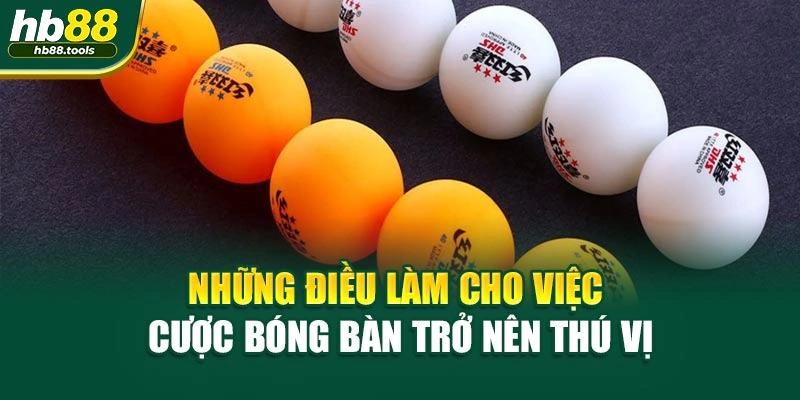Những điều làm cho việc cược bóng bàn trở nên thú vị