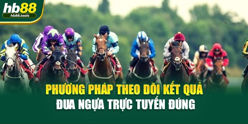 Phương pháp theo dõi kết quả Đua Ngựa trực tuyến đúng