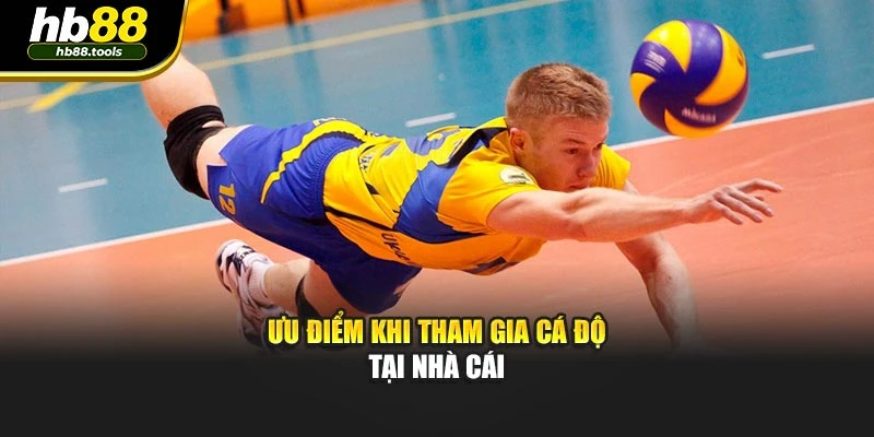 Ưu điểm khi tham gia cá độ tại nhà cái